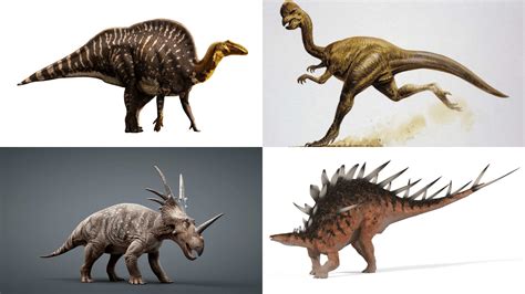 A Guide to Understanding Different Types of Dinosaur - Meredith Plays - species of dinosaurs