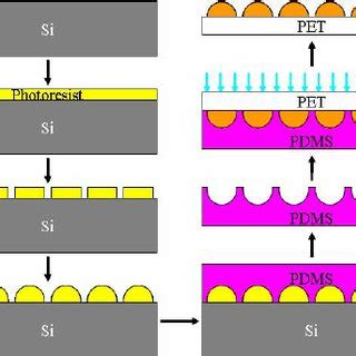 MicroLens Array 的图像结果
