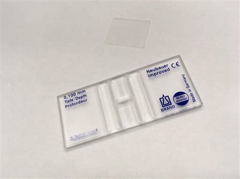 Image result for WBC Count Microscope