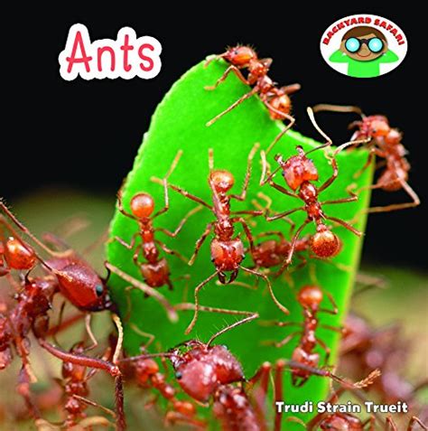 Buy Ants (Backyard Safari) Book Online at Low Prices in India | Ants ...