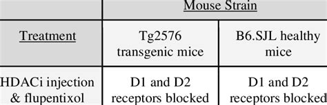 Block Design Experiment 的图像结果