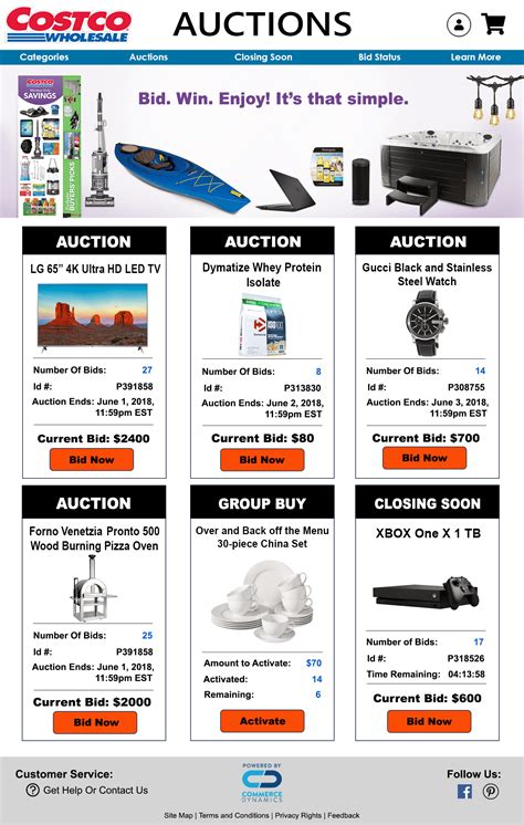 Costco Auctions