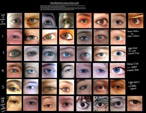 Discover Your Perfect Eye Color with this Chart