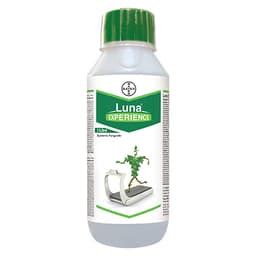 Bayer Crop Science India