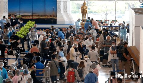 泰国调整入境政策，预计今年将有500万中国游客赴泰旅游_唐人街_澎湃新闻-The Paper