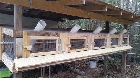 diy quail cage