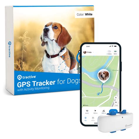 Buy Tractive LTE GPS Dog Tracker - Location & Activity Tracker for Dogs ...