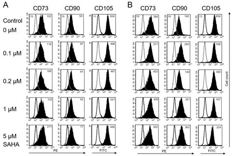 Epigenetic Modification of Mesenchymal Stromal Cells Derived from Bone ...