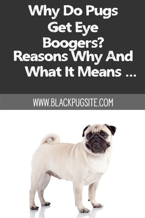 Why Is My Baby Getting Yellow Eye Boogers at Lola Goll blog