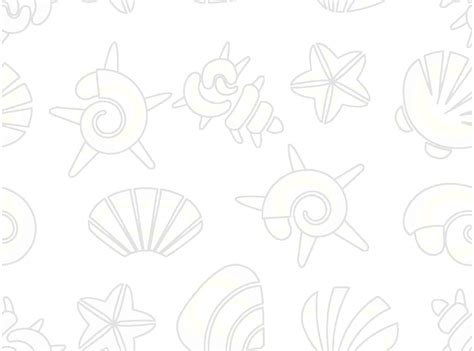 Image result for Shell Background Drawing