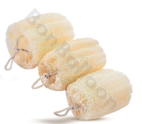 Set of 3 Egyptian Loofah Luffa Loffa Lofa Loofa Scrubber Sponge 100% ...