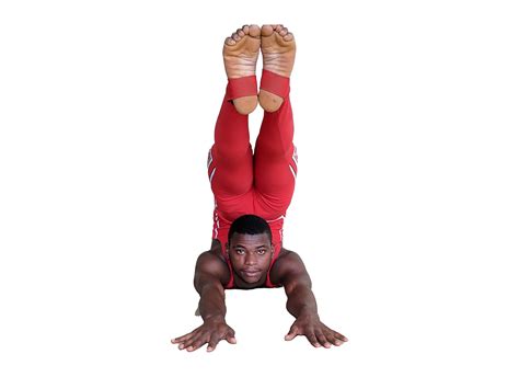 Image result for Advanced Contortion