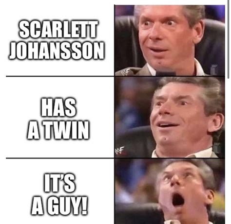 Scarlett Johansson’s Twin : r/memes