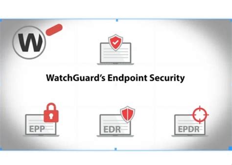 WatchGuard Firewall Protection 的图像结果