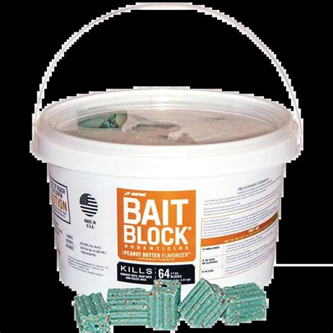 Professional Rodent Control in Dubai | Starting at 110 AED