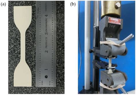 Finite Element Driven Design Domain Identification of a Beating Left ...