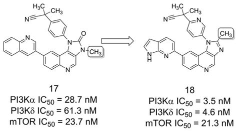 The Magic Methyl and Its Tricks in Drug Discovery and Development