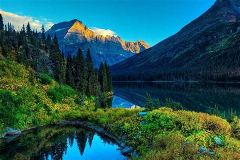 Image result for UI Design Color Example