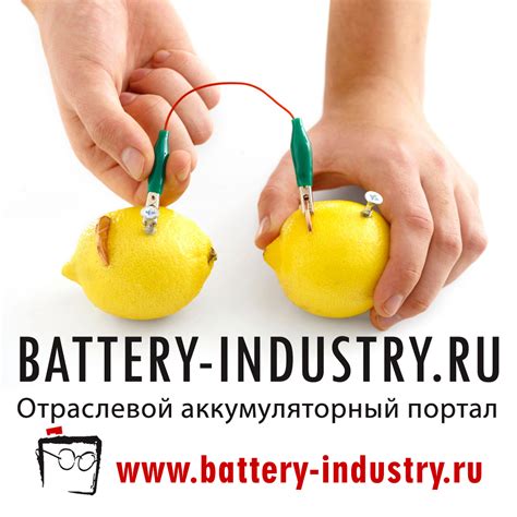 Выставка 2025