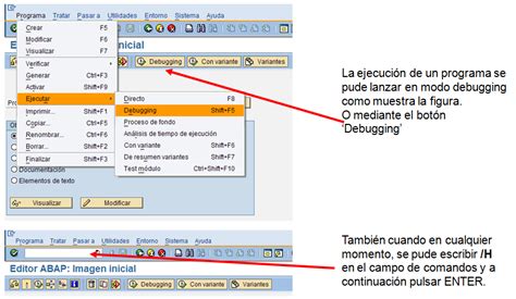 Debugging SAP Beginner 的图像结果