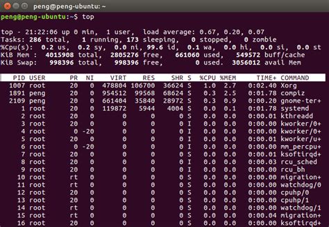 Explaining Linux Top 的图像结果