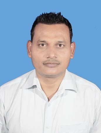 Organisation Chart of BELTRON