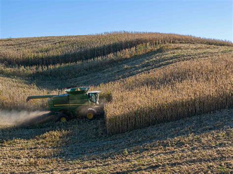 5 States Have 90% or More of Their Corn Harvested, Which Will Be the ...