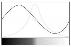 The Sobel and Laplacian Edge Detectors - AI Shack