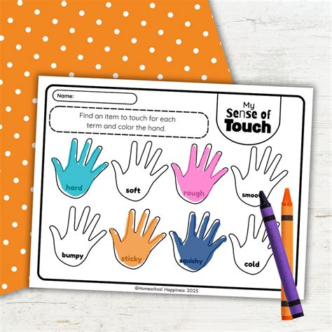 Free Printable Five Senses Worksheets for Kids
