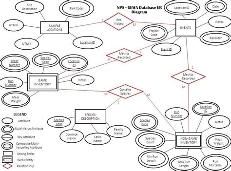 Database System 的图像结果