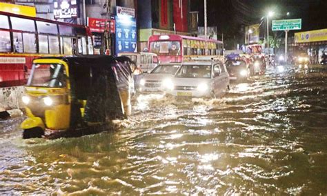Tamil Nadu: West rivers in spate, tree fall blocks Ghat road