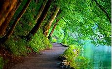 Wallpapers Desktop Background by Beautiful Hd Wallpapers Of Nature For Desktop Desktop Wallpapers Desktop Background