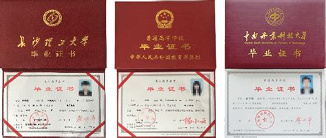 @长沙人：你们的电子证照，预计10天后实现全覆盖 - 三湘万象 - 湖南在线 - 华声在线
