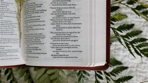 Image result for Fallen Angels Script