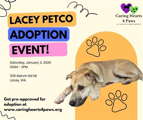 Meet and Greet Puppies and Dogs - Lacey, Petco Lacey, 3 January 2026 ...