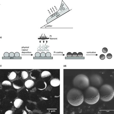 Image result for Colloidal