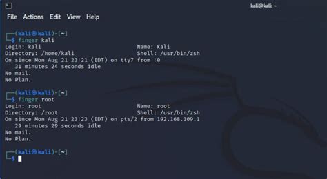 Top 11 System Information Commands in Kali Linux - Tech Hyme