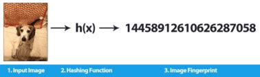 Python-Opencv Hash File 的图像结果