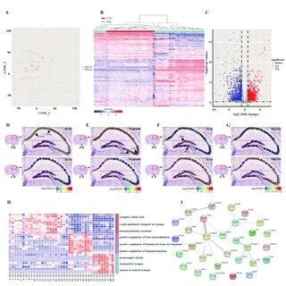 Image result for Cell Type Gene Expression
