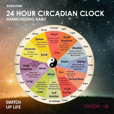 What are Circadian Rhythms? - Switch Up Life