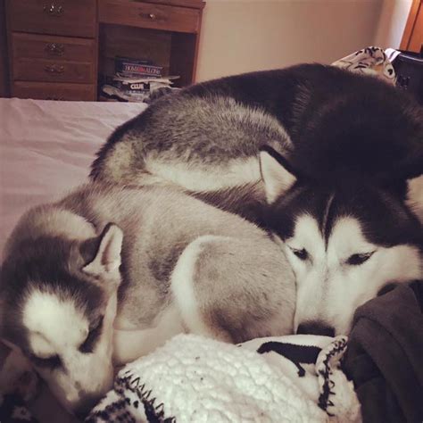 Storm Stories in 2003 的图像结果