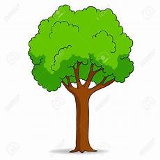 clipart alberi deciduous trees clipart clipground clipart alberi deciduous trees clipart clipground