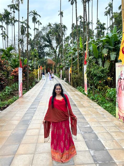 Buy FWC Fill With Colours Female Stole/Scarf For Girl/Ladies Colour ...