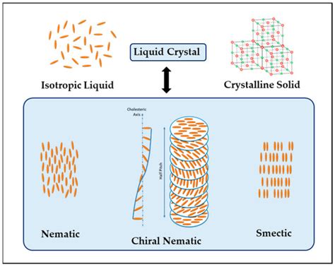Mimicking Natural-Colored Photonic Structures with Cellulose-Based ...