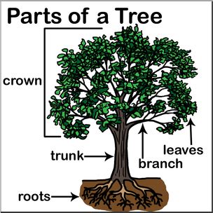 Image result for Tree Structure HTML/CSS