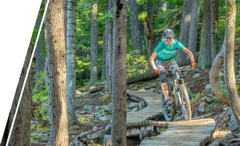 Image result for iFit Live Module