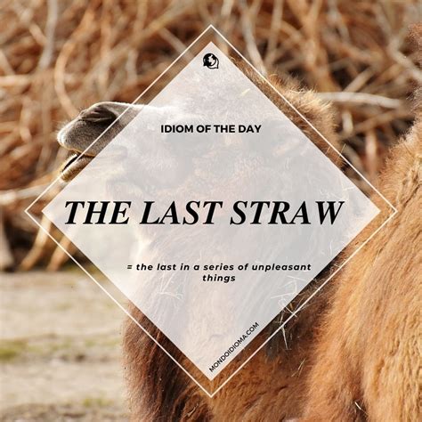 An Idiom a Day Keeps the Doctor Away! (PART 2) | MONDO IDIOMA