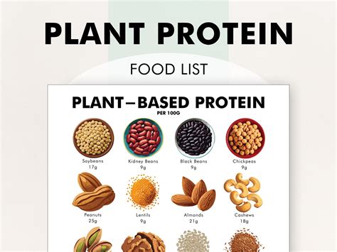Beyond The Basics: 12 Plant Based Protein Sources List That Taste Amazing
