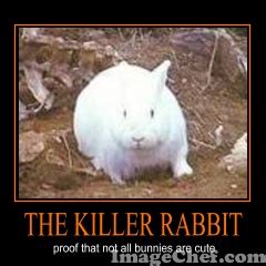 Image result for Monty Python Rabbit Meme