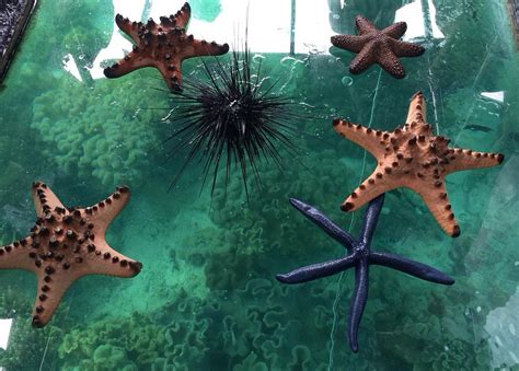 GLASS BOTTOM BOAT BORACAY DAY TOURS (2025) All You Need to Know BEFORE ...